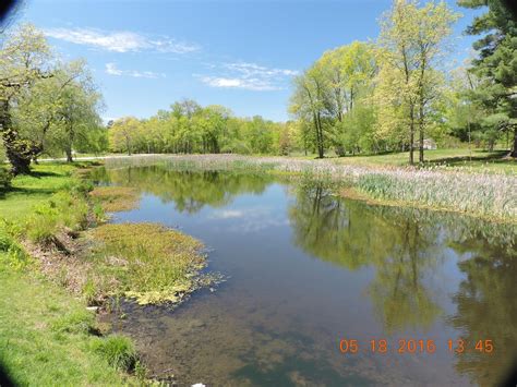The best available hotels & places to stay near Hyde Park, NY.